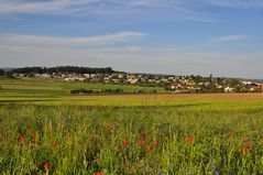 Oberhasli sommer