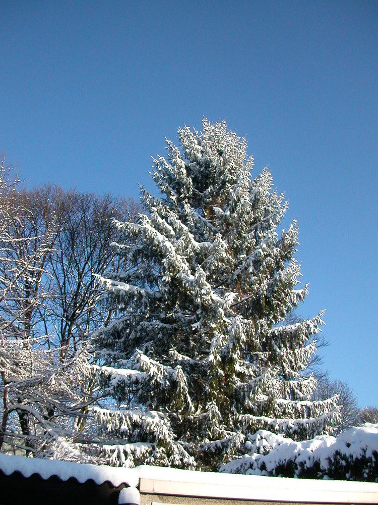 Oberhausen im Schnee