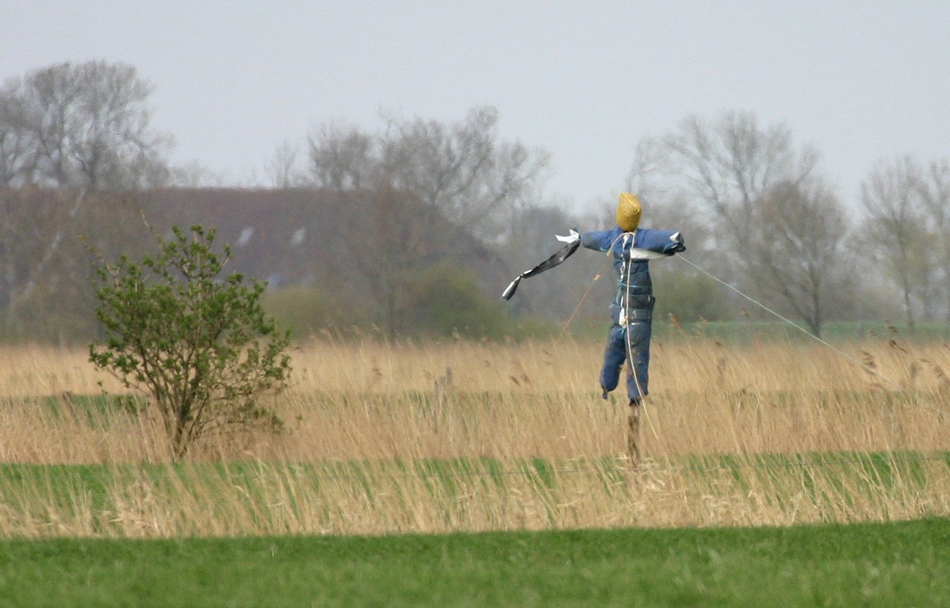 Oberhirte im Blaumann