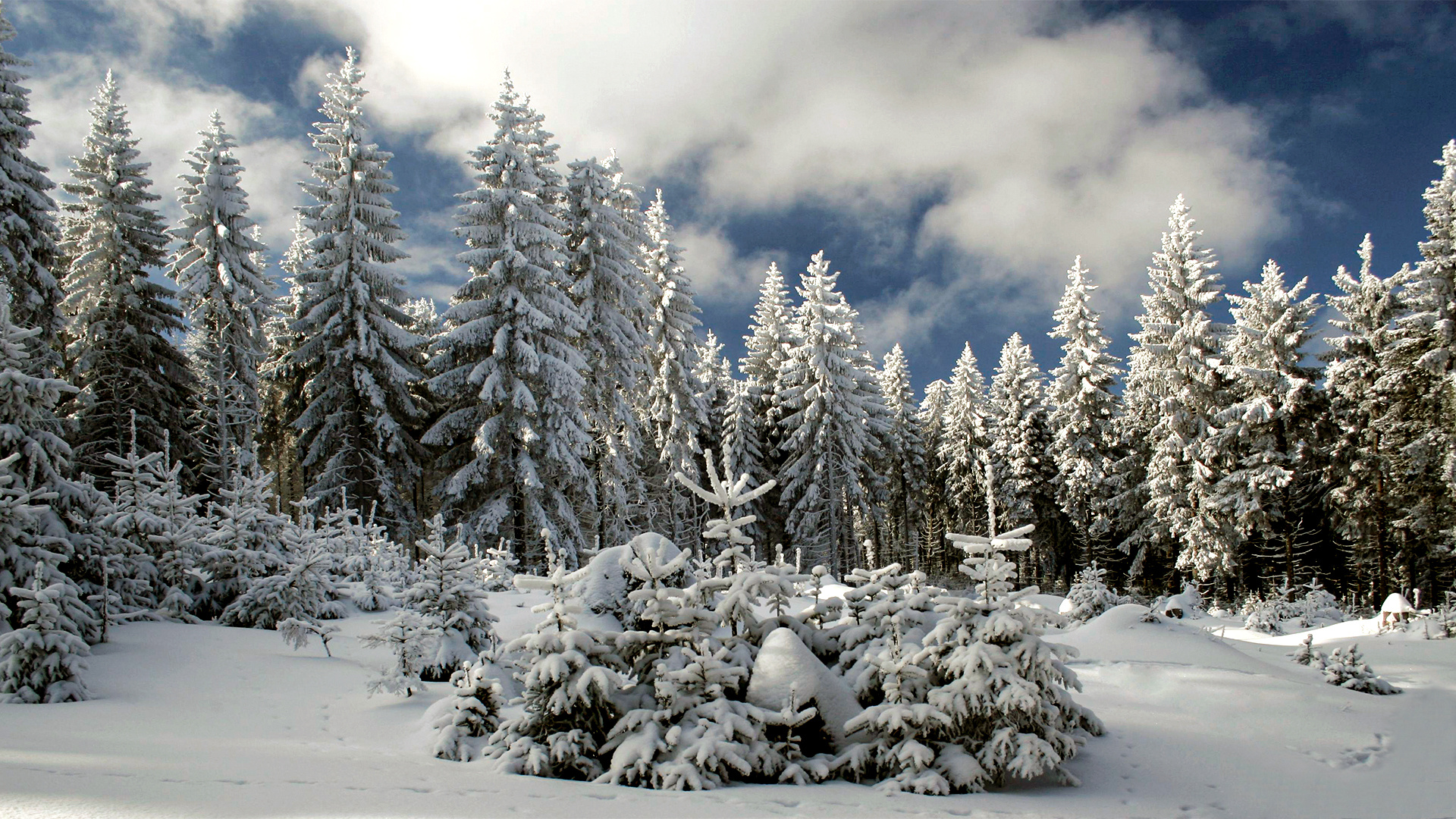 Oberhof (2012!)