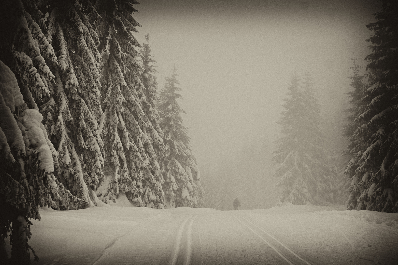 Oberhof Rennsteig Morgends