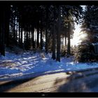 Oberhof vor Sonnenuntergang