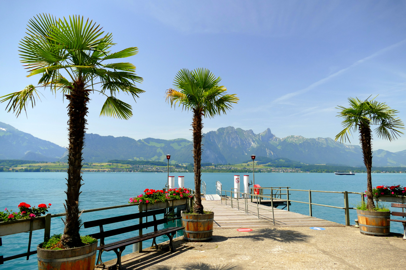 °°°° Oberhofen am Thunersee °°°°