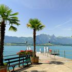 °°°° Oberhofen am Thunersee °°°°