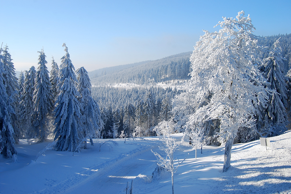 Oberhofer Winter