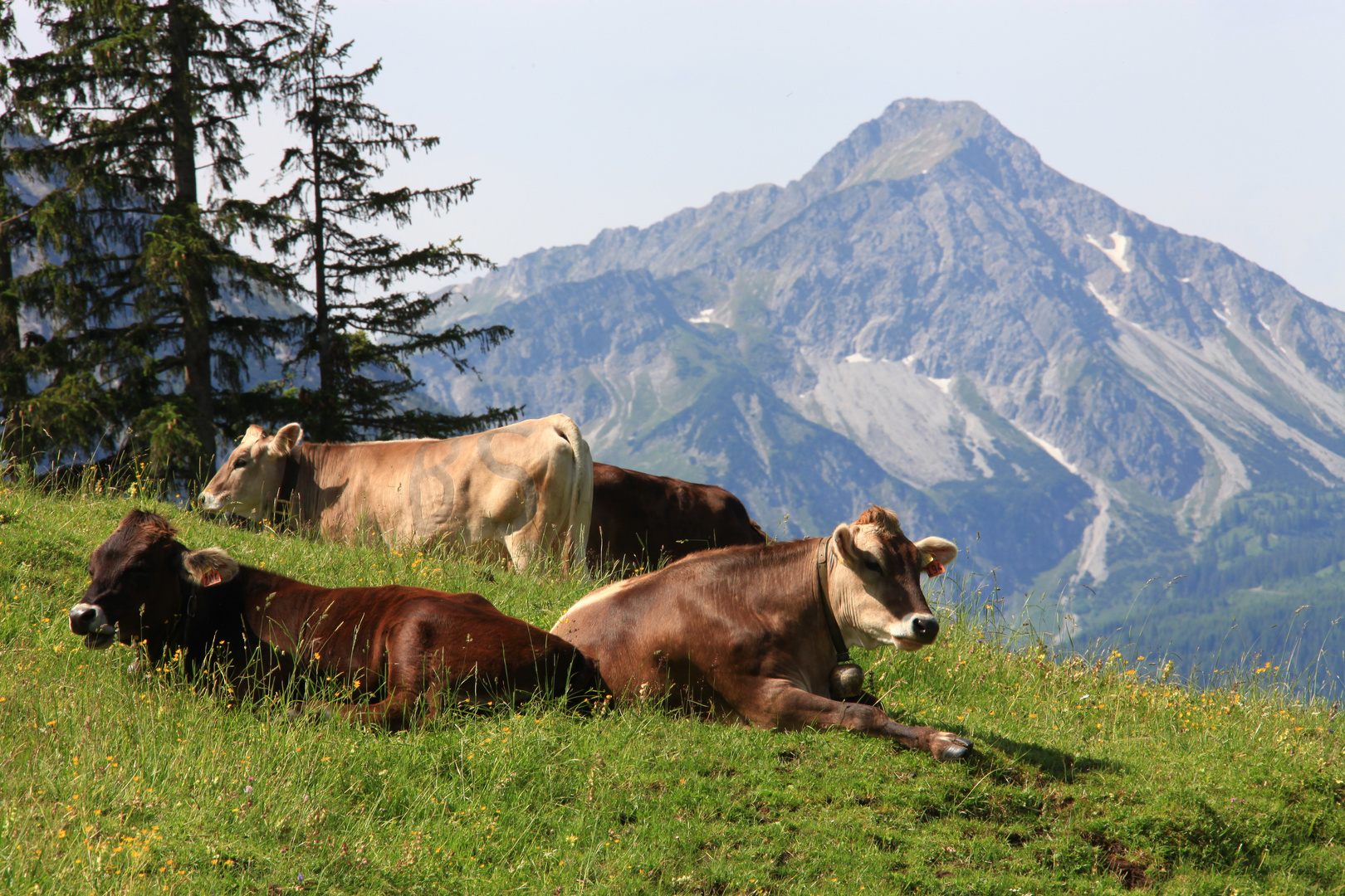 Oberjoch (Gem. Hindelang) im Allgäu