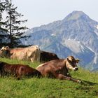 Oberjoch (Gem. Hindelang) im Allgäu