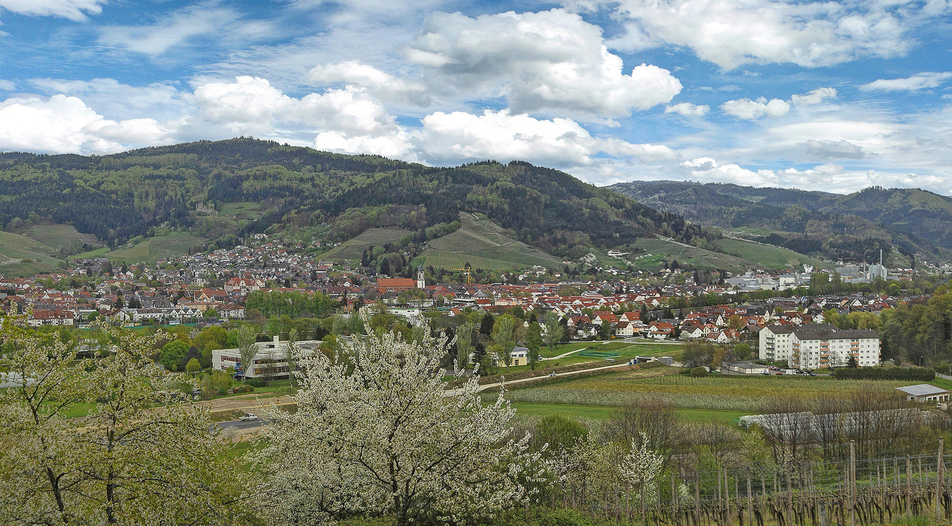 Oberkircher Frühling