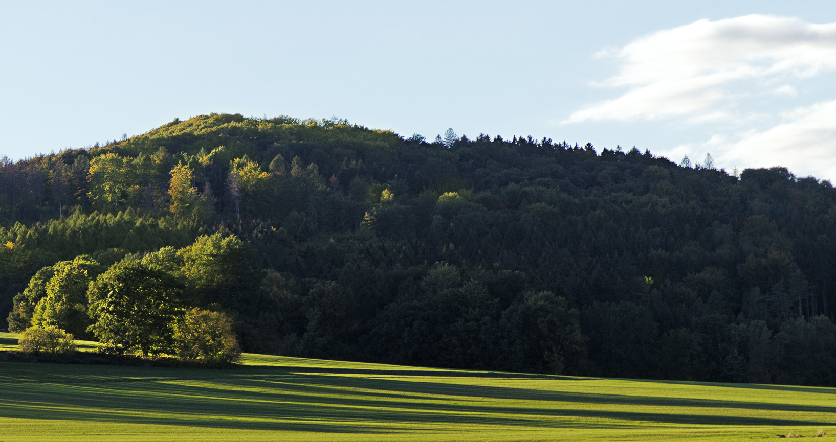 Oberlausitz ...bei Halbau