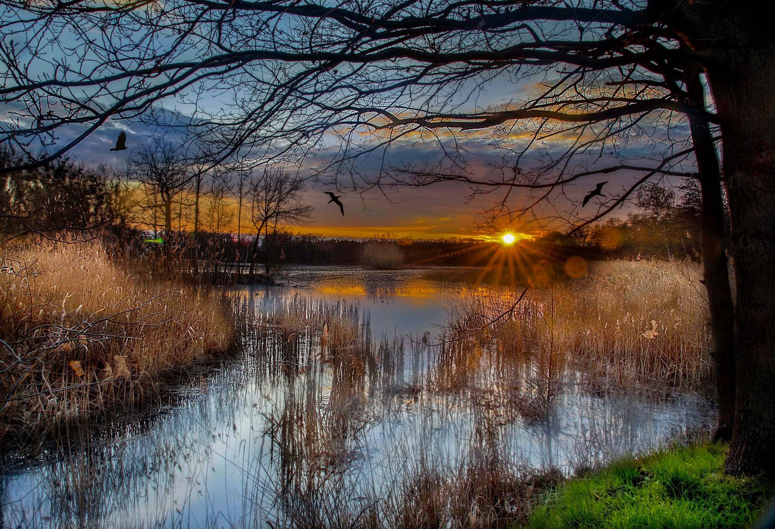 Oberlausitzer Heide und Teichlandschaft 