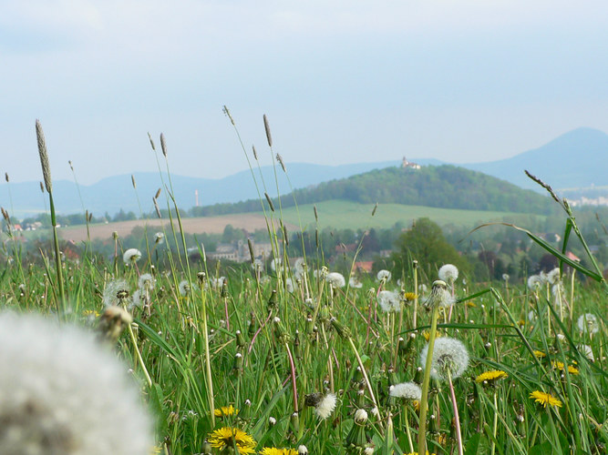 Oberlausitzer Impressionen