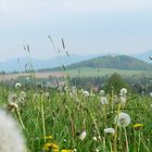 Oberlausitzer Impressionen