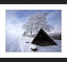 Winterlandschaft