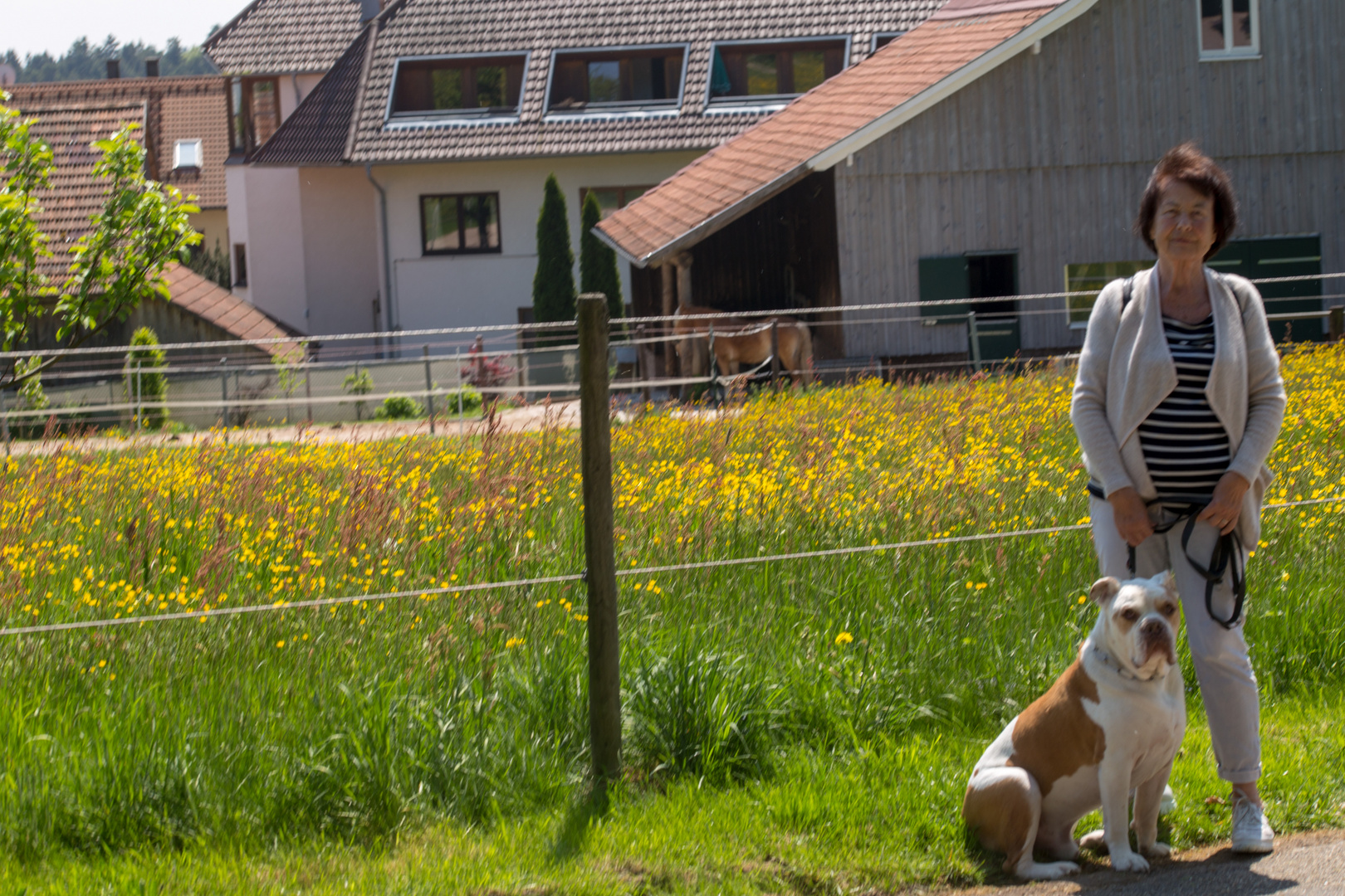 Oberlengenhardt im Frühling