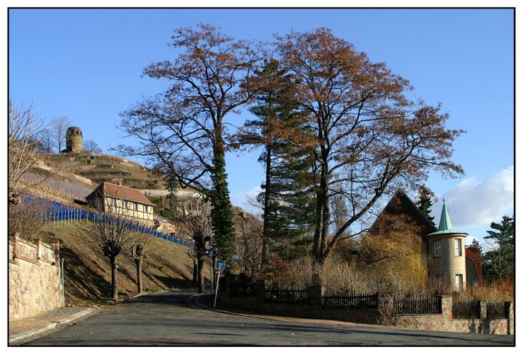 Oberlößnitzer Ansicht