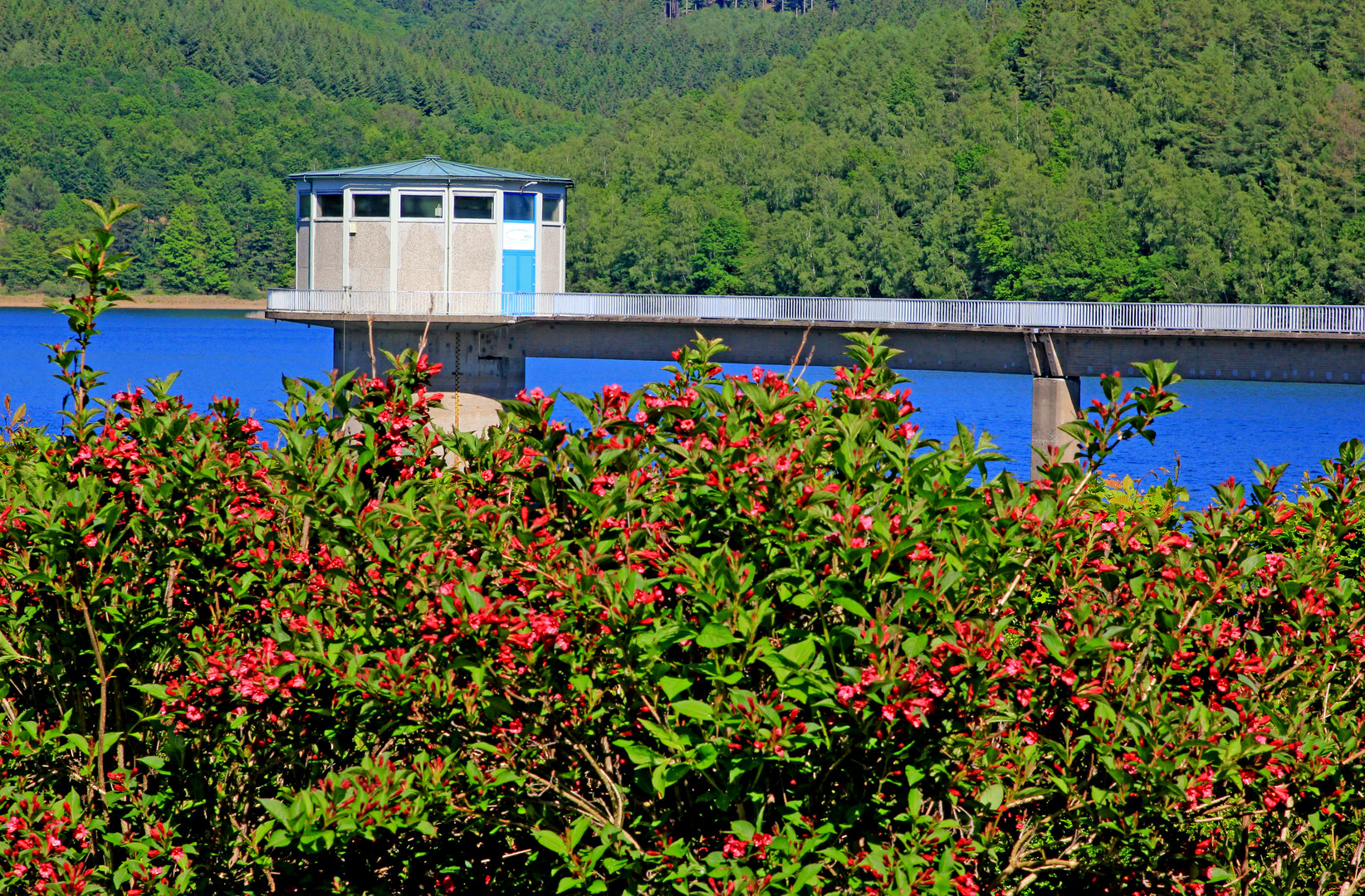 Obernautalsperre bei Netphen-Brauersdorf (Foto 1)