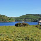 Obernautalsperre bei Netphen-Brauersdorf (Foto 5)