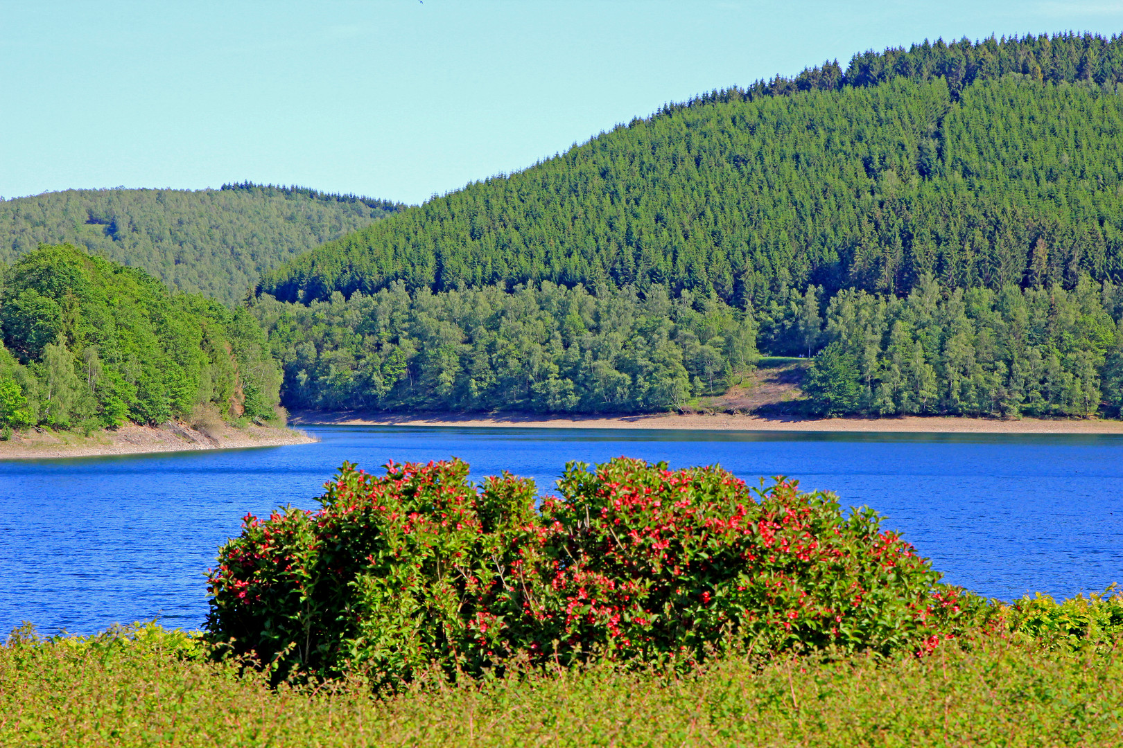 Obernautalsperre bei Netphen-Brauersdorf (Foto 6)