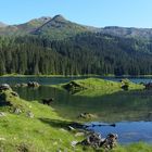 Obernberger See am späten Nachmittag