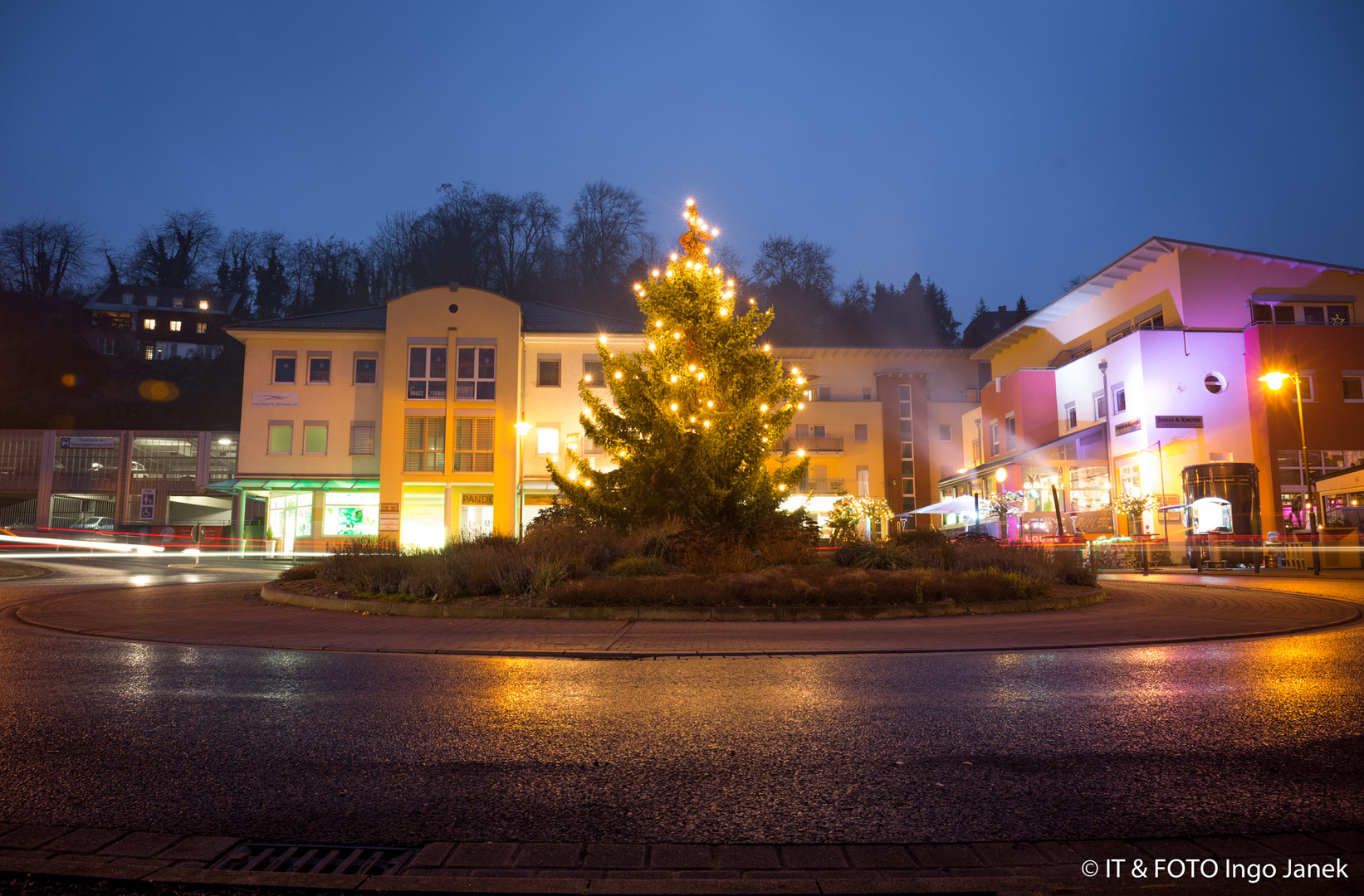 Obernburg am Main / Weihnachtsbaum