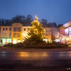Obernburg am Main / Weihnachtsbaum
