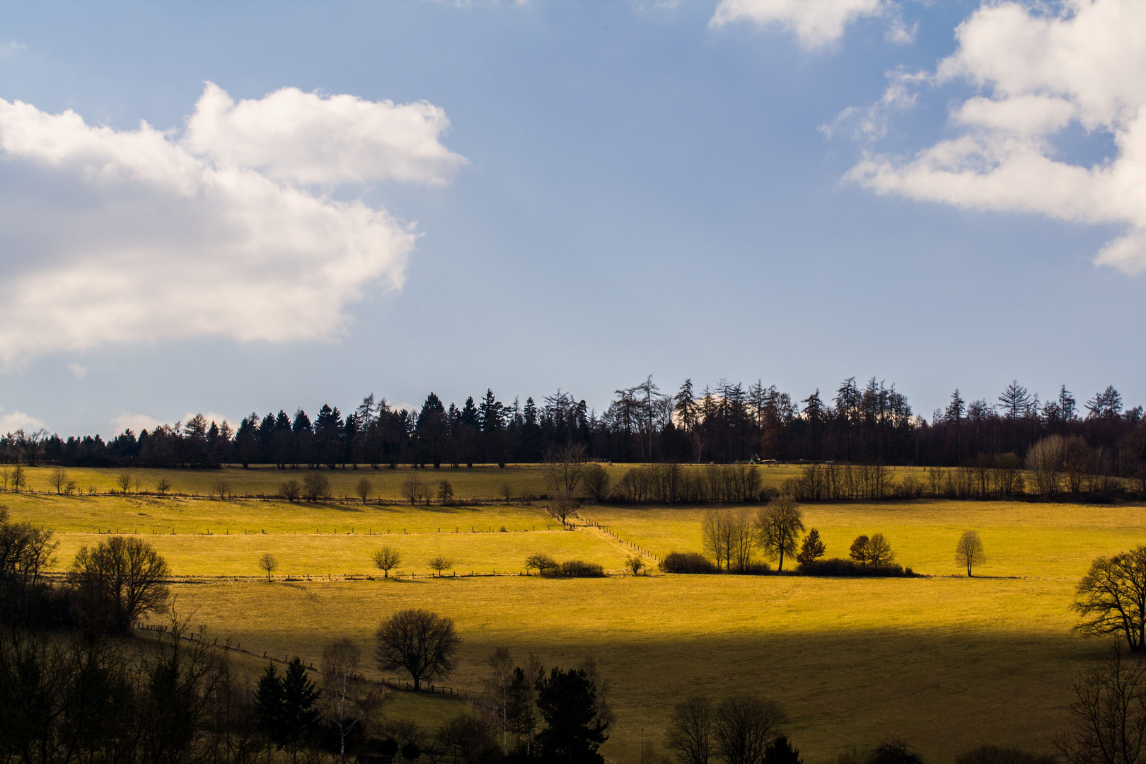 Oberndorf