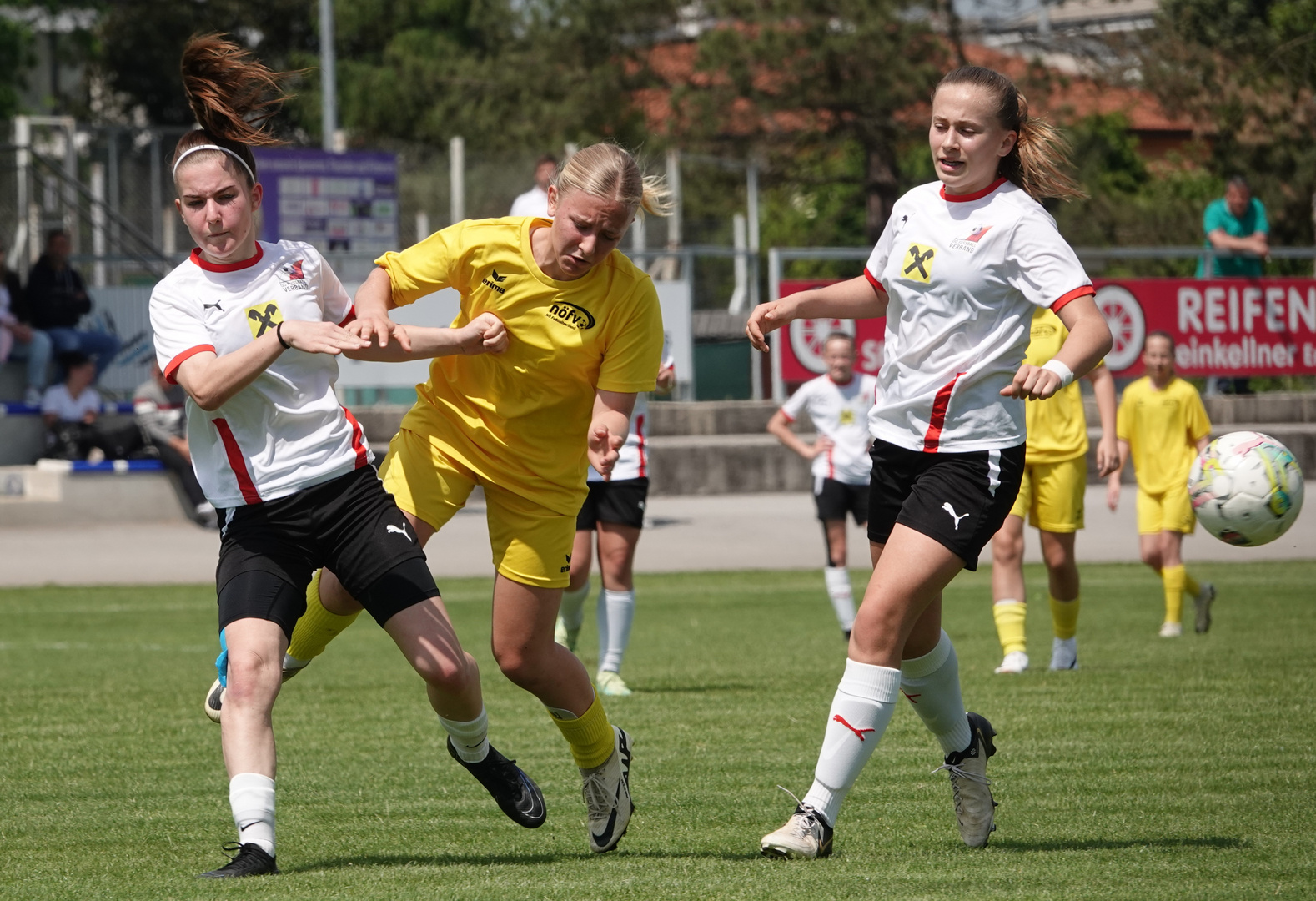 Oberösterreich  Niederösterreich  in der Enns Arena