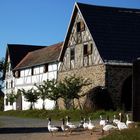 Oberpfälzer Freilandmuseum Neusath-Perschen