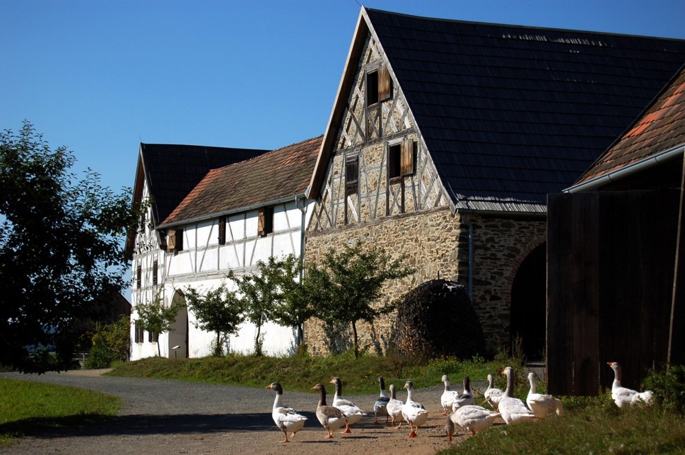 Oberpfälzer Freilandmuseum Neusath-Perschen