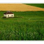 Oberpfälzer Landschaft II