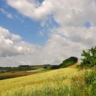 Oberpfälzer Sommer...