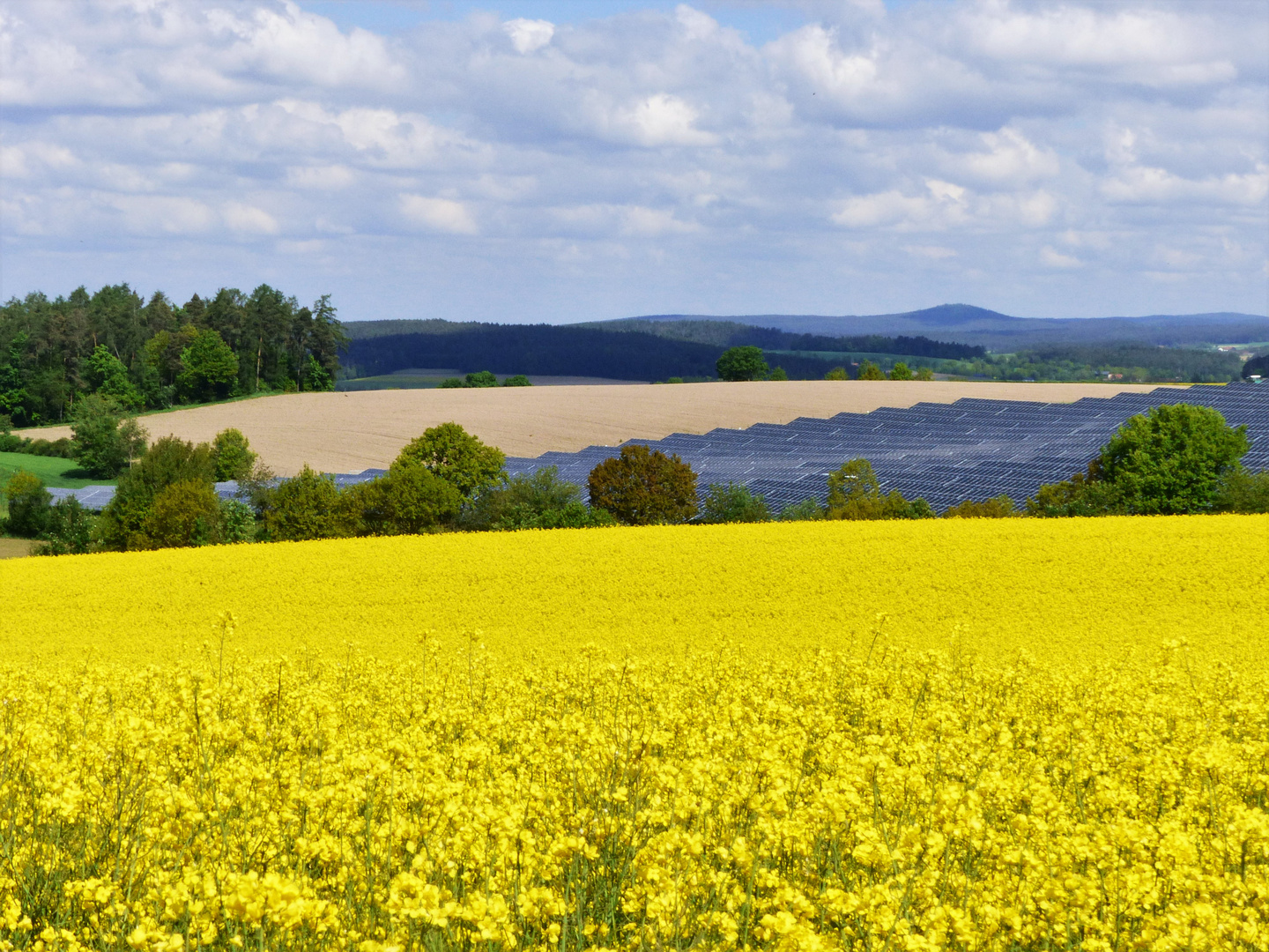 Oberpfälzer Wald