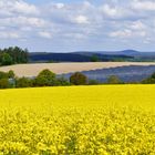 Oberpfälzer Wald