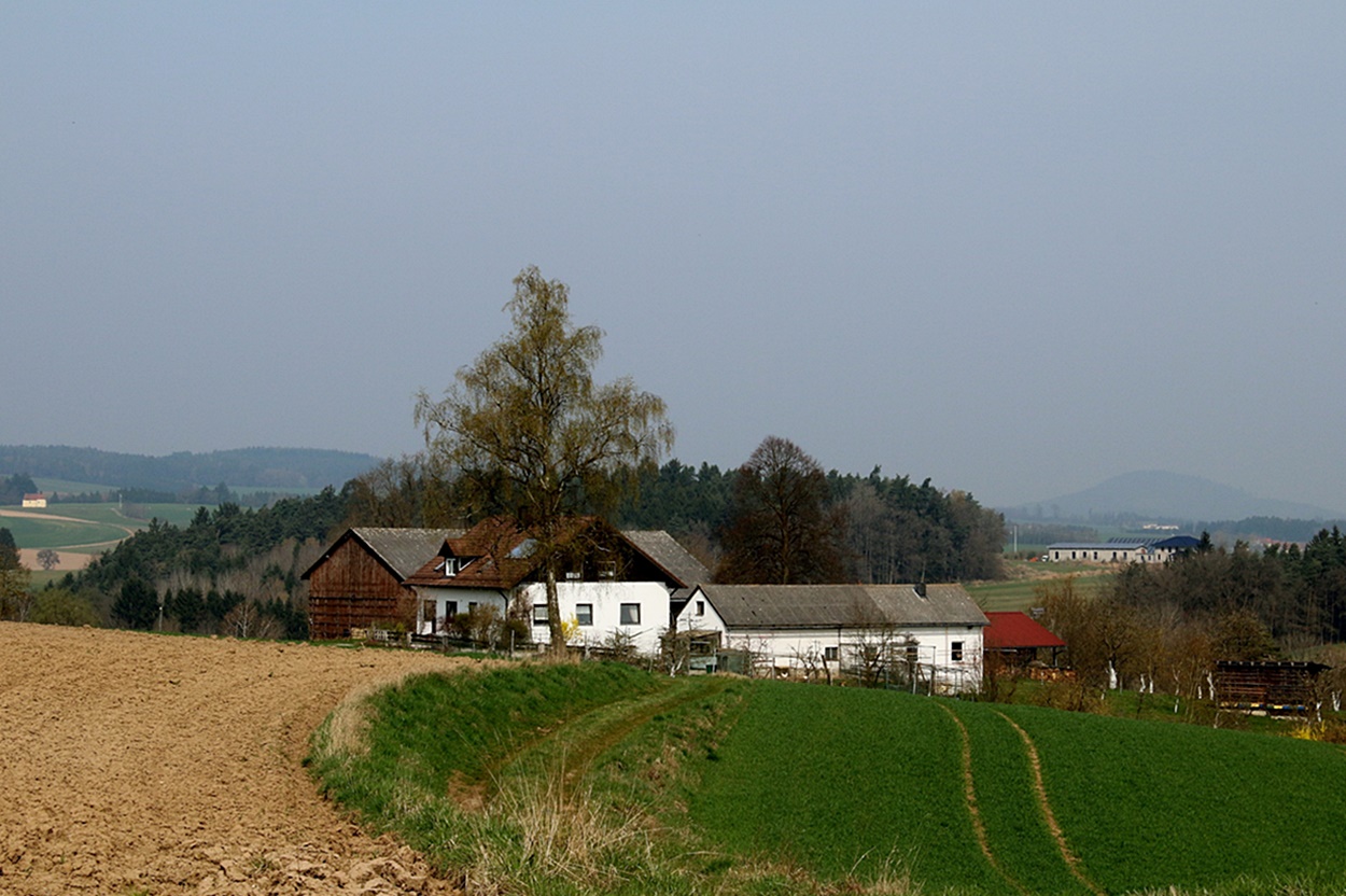 Oberpfalzer Landschaft