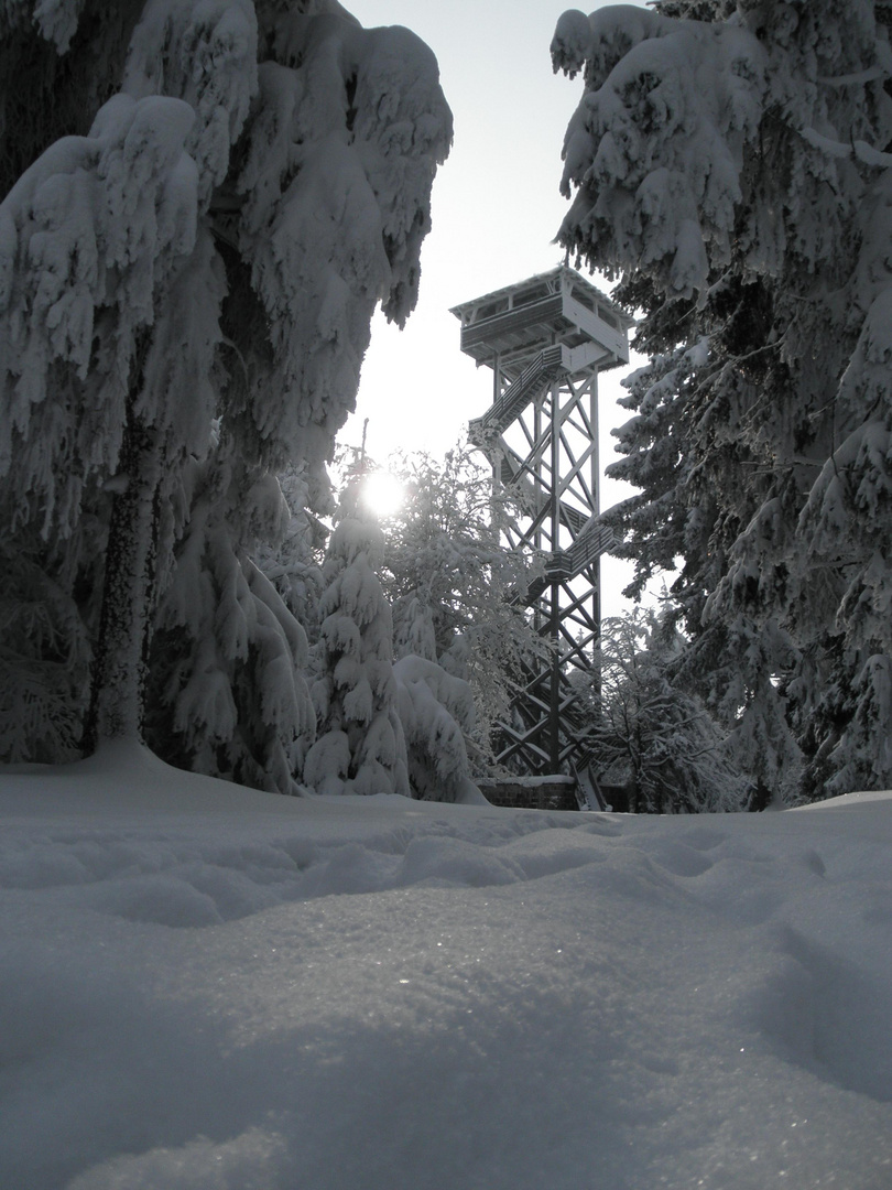 Oberpfalzturm im Naturpark Steinwald