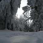 Oberpfalzturm im Naturpark Steinwald