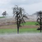 Oberraderberg im Nebel