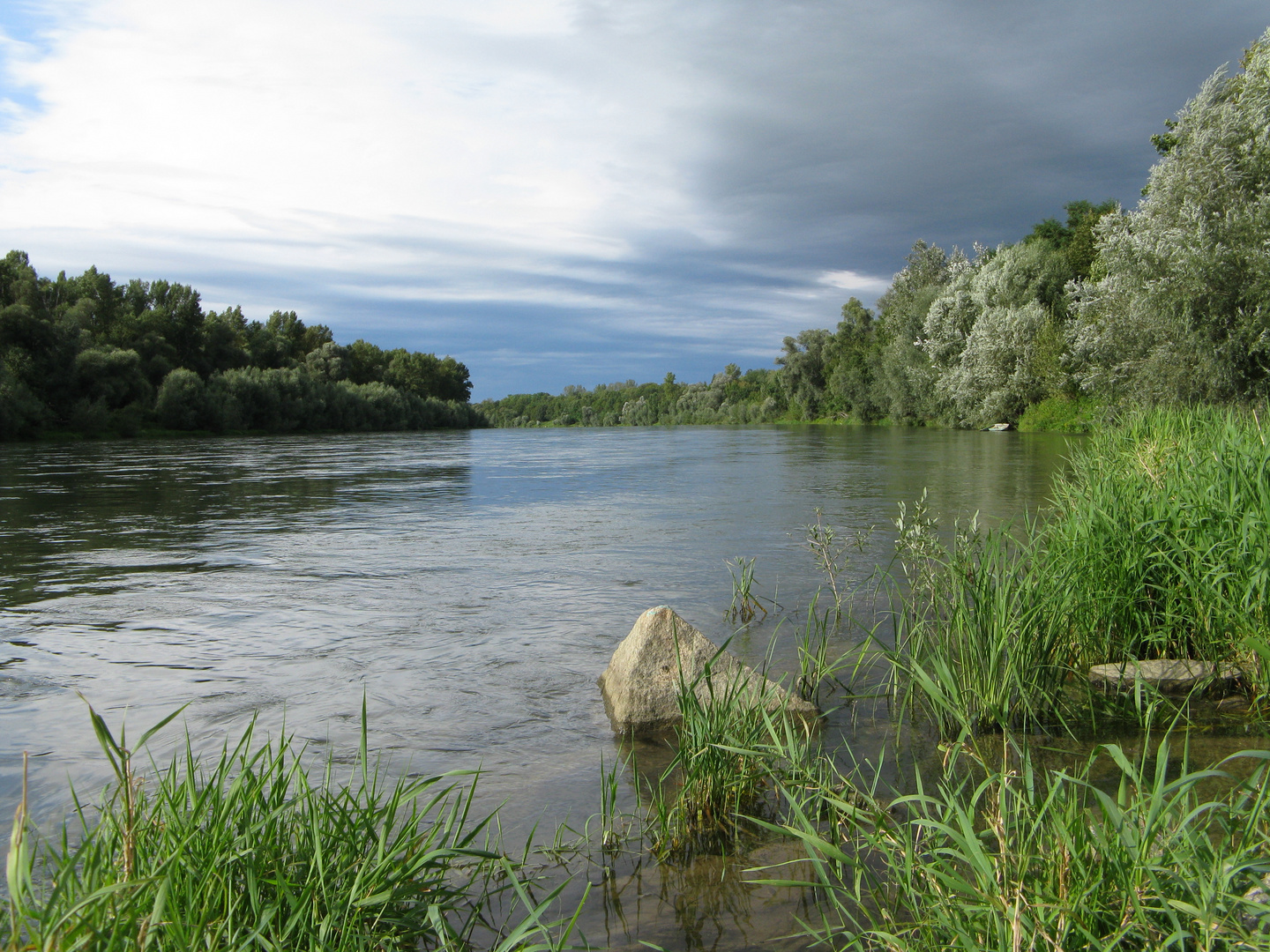 Oberrhein bei km 206,55