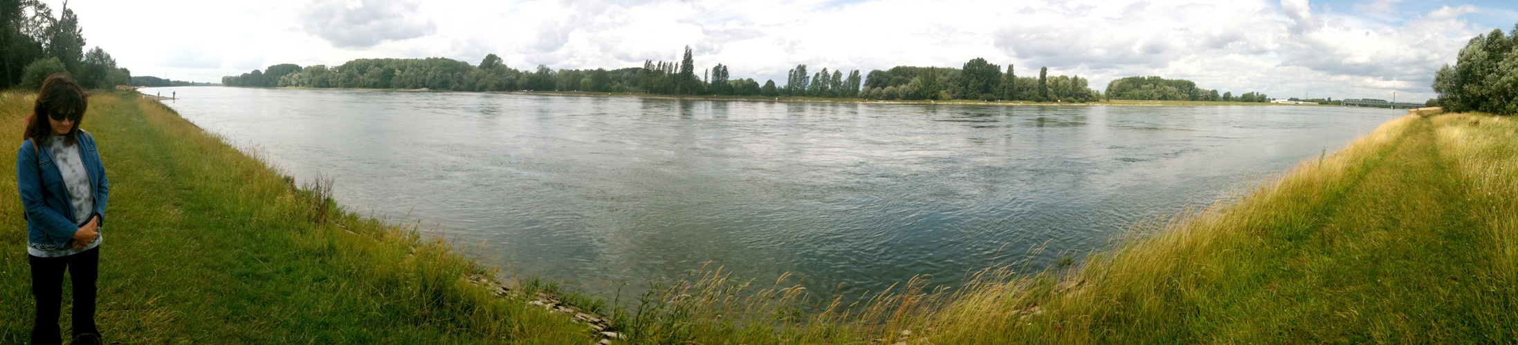 Oberrhein im Sommer