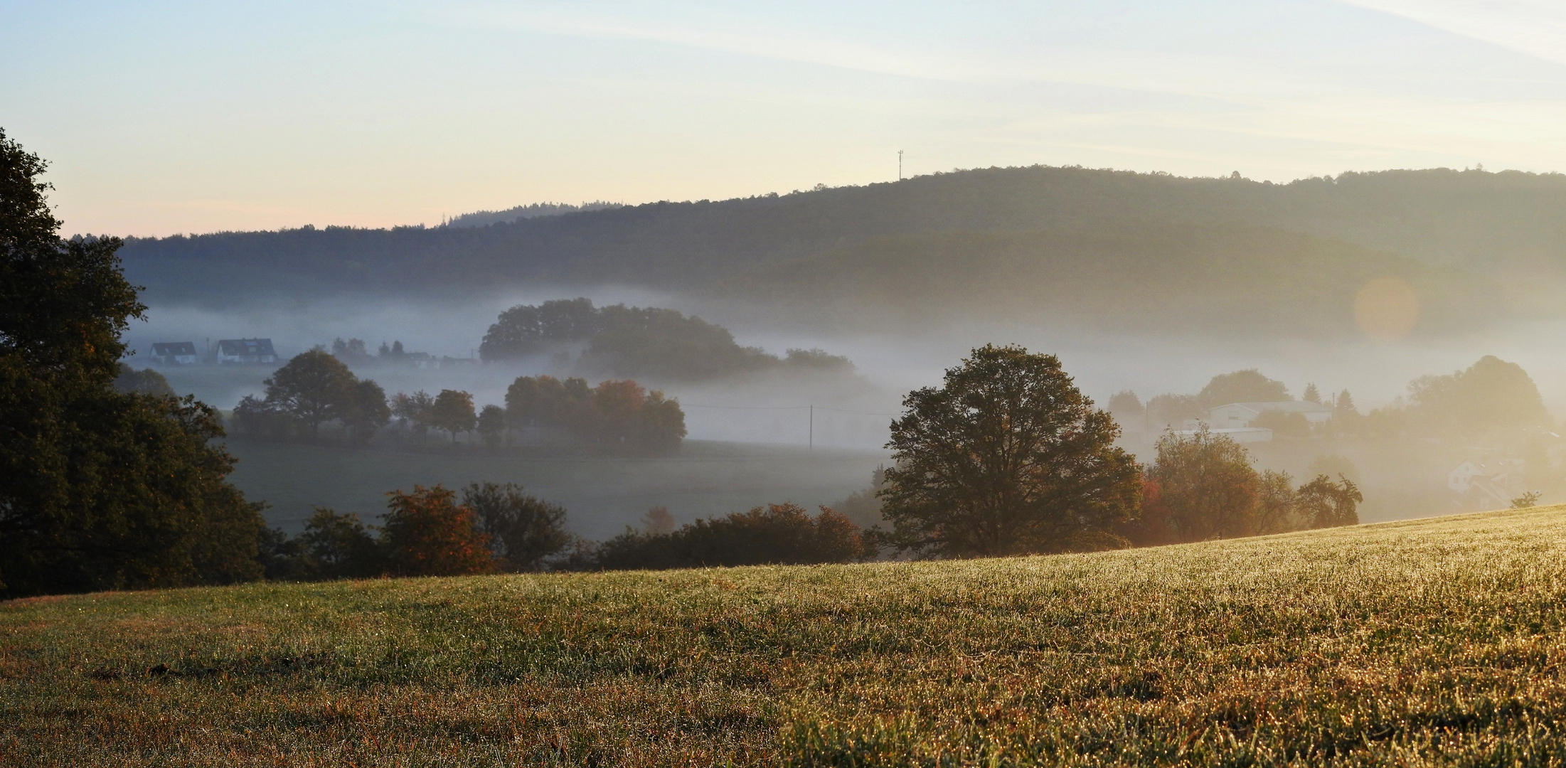 Oberschelder Höhe Herbstnebel