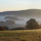 Oberschelder Höhe Herbstnebel