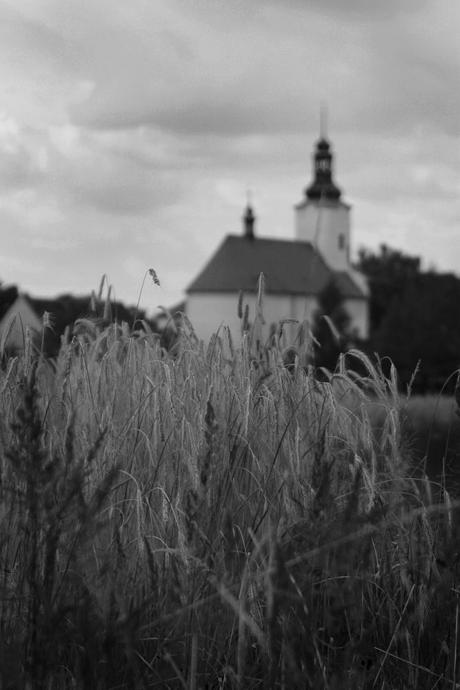 Oberschlesien im Sommer 2010