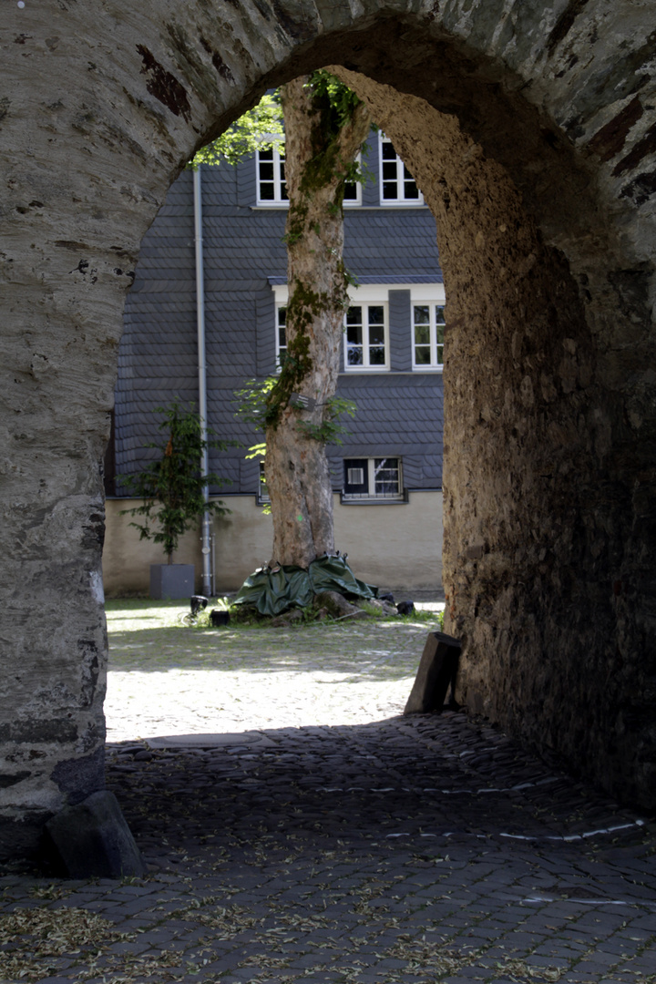 Oberschloss in Siegen