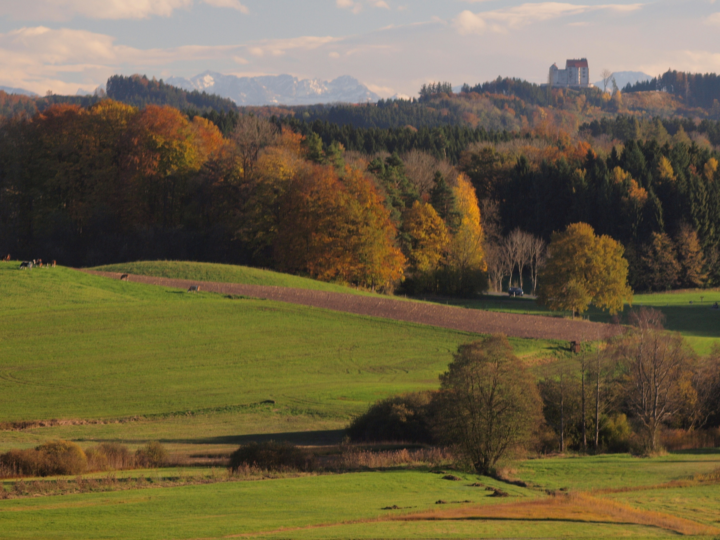 Oberschwaben, die Waldburg und die Alpen