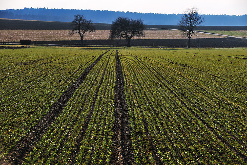 oberschwäbische Landschaft