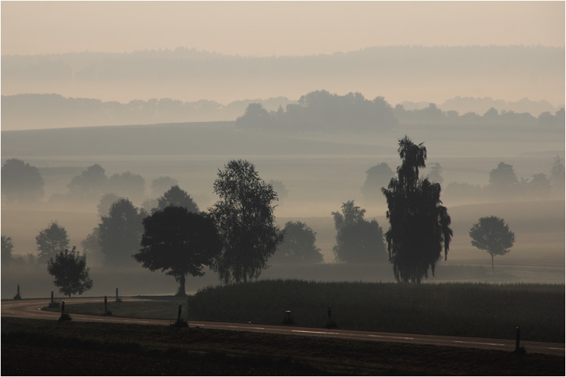 oberschwäbische Landschaft im Morgennebel