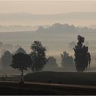 oberschwäbische Landschaft im Morgennebel