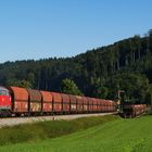 Oberschwäbisches Gold auf Abwegen