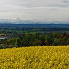 oberschwäbisches Panorama