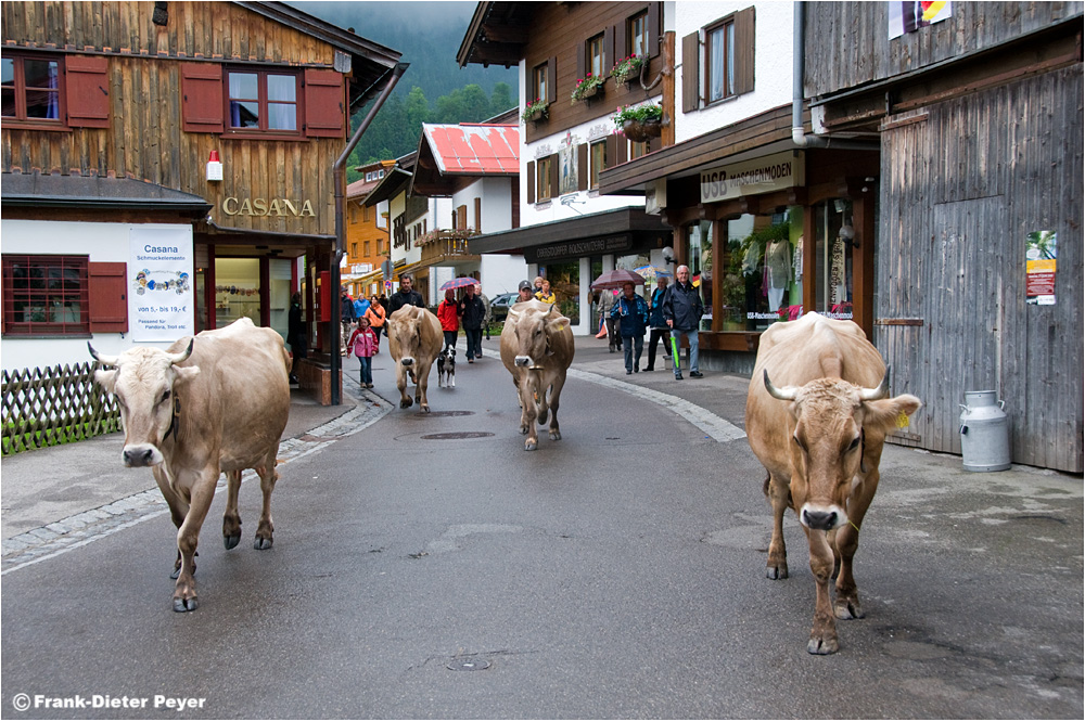 Obersdorfer Momentaufnahme